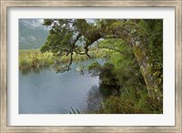 Framed Mirror Lakes, Milford Road, Fiordland, South Island, New Zealand
