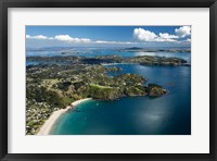 Framed Palm Beach, Waiheke Island, North Island, New Zealand