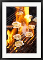 Framed Scallops on Barbeque