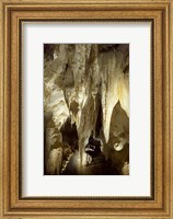 Framed Stalactites, Ruakuri Caves, North Island, New Zealand