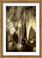 Framed Stalactites, Ruakuri Caves, North Island, New Zealand