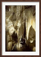 Framed Stalactites, Ruakuri Caves, North Island, New Zealand