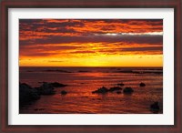 Framed Sunrise, Kaikoura, South Island, New Zealand