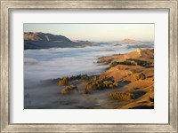 Framed Te Mata, Tukituki River Valley, No Island, New Zealand