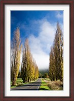 Framed Autumn Colour and Wanganui, Raetihi Road, near Wanganui, North Island, New Zealand