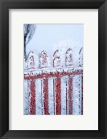 Framed Frost on Gate, Mitchell's Cottage and Hoar Frost, Fruitlands, near Alexandra, Central Otago, South Island, New Zealand