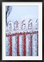 Framed Frost on Gate, Mitchell's Cottage and Hoar Frost, Fruitlands, near Alexandra, Central Otago, South Island, New Zealand