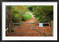 Framed Gate and Oak Leaves, Te Wera Arboretum, Forgotten World Highway, Taranaki, North Island, New Zealand