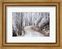 Framed Hoar Frost and Road by Butchers Dam, South Island, New Zealand (horizontal)