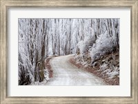 Framed Hoar Frost and Road by Butchers Dam, South Island, New Zealand (horizontal)