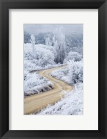 Framed Hoar Frost and Road by Butchers Dam, South Island, New Zealand (vertical)