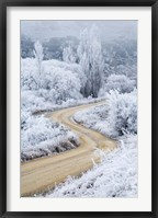 Framed Hoar Frost and Road by Butchers Dam, South Island, New Zealand (vertical)