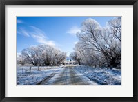 Framed Hoar Frost near Oturehua, Central Otago, South Island, New Zealand