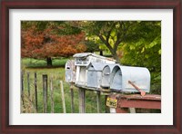 Framed Letterboxes, King Country, North Island, New Zealand