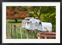 Framed Letterboxes, King Country, North Island, New Zealand