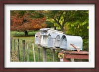 Framed Letterboxes, King Country, North Island, New Zealand