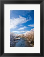 Framed Manuherikia River and Hoar Frost, Ophir, Central Otago, South Island, New Zealand