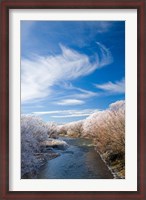 Framed Manuherikia River and Hoar Frost, Ophir, Central Otago, South Island, New Zealand
