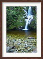 Framed Dorothy Falls, Lake Kaniere, South Island, New Zealand