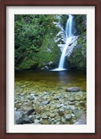 Framed Dorothy Falls, Lake Kaniere, South Island, New Zealand