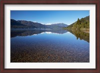 Framed Lake Kaniere, West Coast, South Island, New Zealand