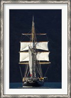 Framed Spirit of New Zealand Tall Ship, Marlborough Sounds, South Island, New Zealand