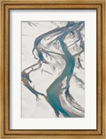 Framed Dart River, near Glenorchy, Queenstown Region, South Island, New Zealand
