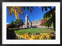 Framed Clocktower, University of Otago, Dunedin, New Zealand