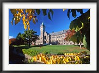 Framed Clocktower, University of Otago, Dunedin, New Zealand