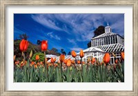 Framed Winter Garden, Botanic Gardens, Dunedin, New Zealand