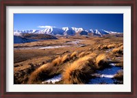 Framed Tussocks and Hawkdun Range, Central Otago, New Zealand