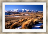 Framed Tussocks and Hawkdun Range, Central Otago, New Zealand