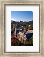 Framed University of Otago, Dunedin, New Zealand