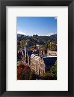 Framed University of Otago, Dunedin, New Zealand