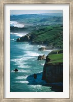 Framed Dunedin Coast near Tunnel Beach, New Zealand