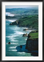 Framed Dunedin Coast near Tunnel Beach, New Zealand