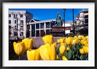 Framed Yellow tulips, Octagon, Dunedin, New Zealand