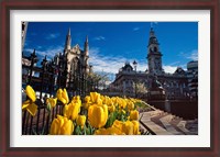 Framed Municipal Chambers and St Pauls, Octagon, Dunedin, New Zealand