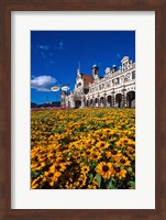 Framed Historic Railway Station and field of flowers, Dunedin, New Zealand