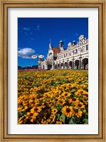 Framed Historic Railway Station and field of flowers, Dunedin, New Zealand