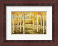 Framed Aspens