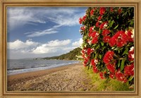 Framed Beach, Pohutukawa, Thornton Bay, No Island, New Zealand