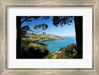 Framed Careys Bay, Otago Harbour, South Island, New Zealand