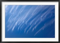 Framed Cirrus Clouds, Dunedin, Otago, South Island, New Zealand