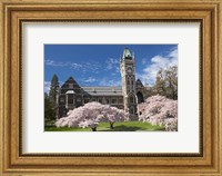 Framed Clock Tower, Historical Registry Building and Spring Blossom, University of Otago, South Island, New Zealand