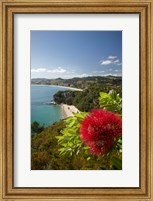 Framed Coastline, Cooks Beach, North Island, New Zealand