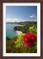 Framed Coastline, Cooks Beach, North Island, New Zealand