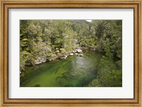 Framed Falls River, Abel Tasman, South Island, New Zealand