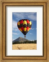 Framed Hot Air Balloon, Wanaka, South Island, New Zealand