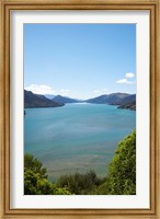 Framed Mahakipawa Arm, South Island, New Zealand
